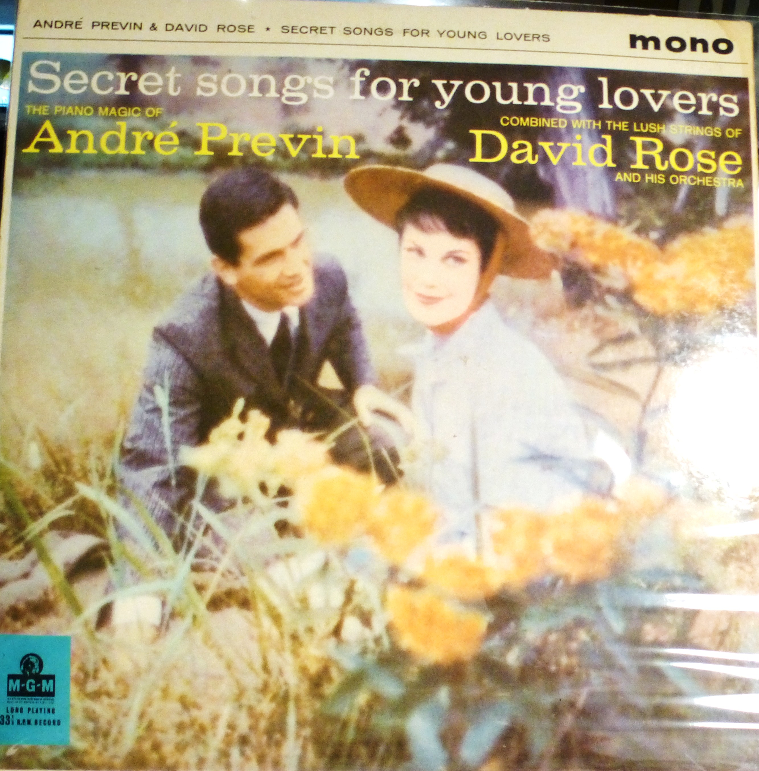Secret Songs For Young Lovers