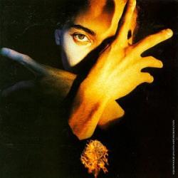 Terence Trent D-Arby-s Neither Fish Nor Flesh: A Soundtrack Of Love, Faith, Hope And Destruction