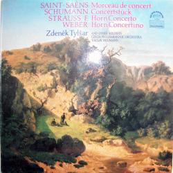 Morceau De Concert / Concertstuck / Horn Concerto / Horn Concertino