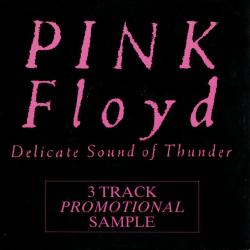 Delicate Sound Of Thunder (3 Track Promotional Sample)