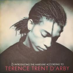 Introducing The Hardline According To Terence Trent D-Arby
