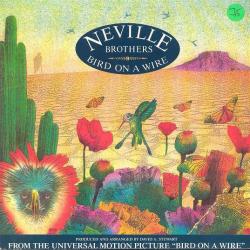 The Neville Brothers - Bird On A Wire