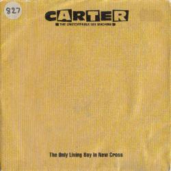Carter The Unstoppable Sex Machine - The Only Living Boy In New Cross