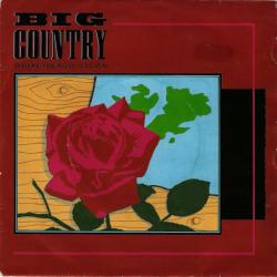 Big Country - Where The Rose Is Sown
